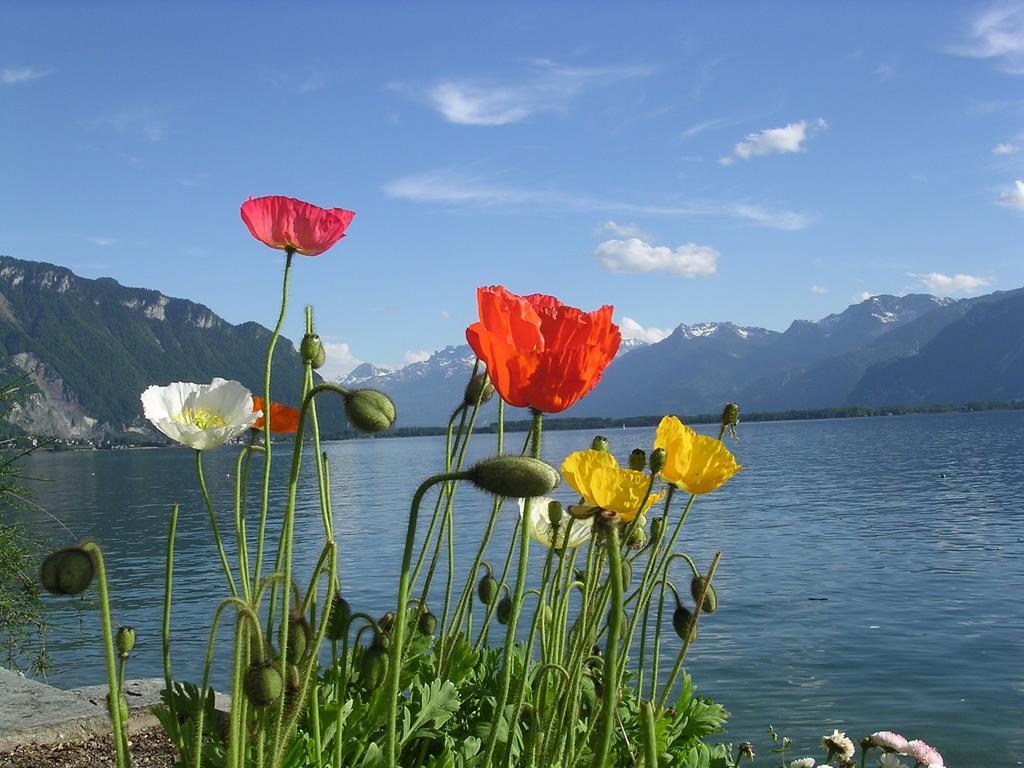 Chalet Des Alpes - Sunset View - ครองส์มอนตานา ภายนอก รูปภาพ